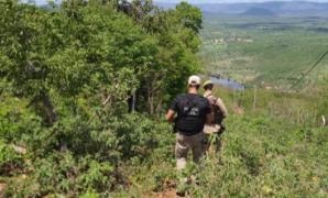 O crime ocorreu na tarde de sábado (16), após uma confusão motivada por uma gaiola de passarinho