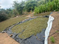 Ação conjunta entre Depin, Denarc e 14ª Coorpin resulta em prisões, flagrante e apreensão de armas e drogas