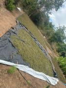 Ação conjunta entre Depin, Denarc e 14ª Coorpin resulta em prisões, flagrante e apreensão de armas e drogas