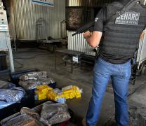 As apreensões resultaram de ações conjuntas das forças de segurança na região