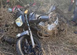 Veículos estavam escondidos em área de mata no bairro Juca Rosa