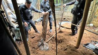 Policia em campo.jpg