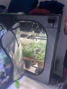 O dono do material ilícito foi preso em flagrante em mandado de busca cumprido pelo Departamento Especializado de Investigação e Repressão ao Narcotráfico (Denarc)