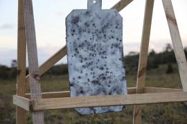 O Curso de Atirador Designado na Bahia, promovido pela Acadepol e pela Core, amplia eficiência e segurança em operações policiais