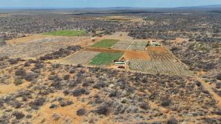 A ação foi realizada em conjunto com a Polícia Civil de Pernambuco e unidades da Bahia