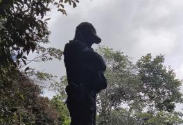 Espingardas artesanais, munições e pássaros silvestres foram apreendidos durante cumprimento de mandado judicial