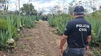 O Homem foi localizado trabalhando em uma lavoura de sisal