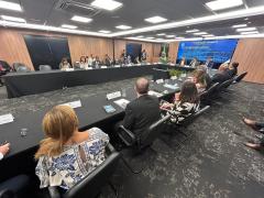 Policiamento Orientado pela Inteligência (POI), com foco no asfixiamento financeiro de organizações criminosas foi exposto como boa prática.