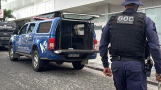 A 14ª Delegacia Territorial da Barra recebeu mais de 10 denúncias contra o homem que teve um mandado de prisão cumprido. Os animais serão acolhidos