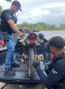 O veículo havia sido roubado em outubro deste ano, na cidade vizinha de Itabela, no Extremo-Sul do estado