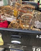 Os envolvidos foram autuados com base na Lei de Crimes Ambientais, que prevê pena de detenção de seis meses a um ano, além de multa, para quem mata, persegue, caça ou utiliza espécies da fauna silvestre