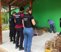 Os envolvidos foram autuados com base na Lei de Crimes Ambientais, que prevê pena de detenção de seis meses a um ano, além de multa, para quem mata, persegue, caça ou utiliza espécies da fauna silvestre