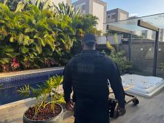 Investigação aponta sonegação fiscal e lavagem de dinheiro no ramo de combustíveis