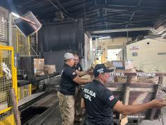 Ação ocorreu mediante a supervisão do Ministério Público, assegurando o cumprimento dos protocolos jurídicos e as normas de vigilância sanitária e segurança necessárias para a destruição da droga