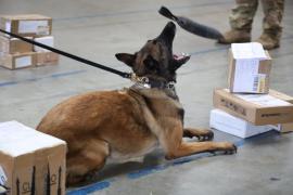 A ação, realizada pela Polícia Civil, tem como objetivo prevenir a entrada de material ilícito no estado