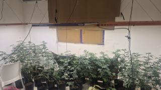 O responsável pelo local foi autuado em flagrante por tráfico de drogas durante ação da Deam/CMB