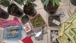 O responsável pelo local foi autuado em flagrante por tráfico de drogas durante ação da Deam/CMB
