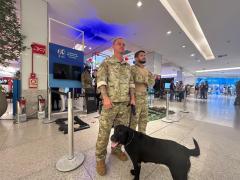 As apresentações destacam o trabalho operacional dos cães policiais