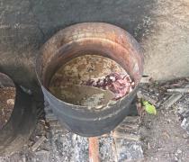 A ação cumpriu mandados em açougues e resultou na prisão de seis pessoas em Porto Seguro