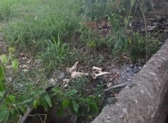 A ação cumpriu mandados em açougues e resultou na prisão de seis pessoas em Porto Seguro