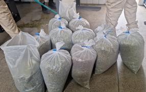 A ação em Utinga atinge organização criminosa com atuação interestadual e apreende armas, drogas e plantação de maconha