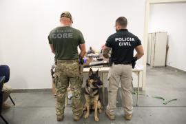 A ação do Denarc apreende armas, entorpecentes e mercadorias ilícitas em operação realizada ao longo de janeiro