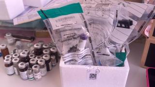 Ação cumpriu 57 mandados de busca , apreendeu medicamentos, canetas emagrecedoras e materiais utilizados em procedimentos estéticos comercializados de forma irregular