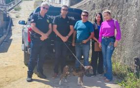 O animal foi recolhido para uma clínica veterinária