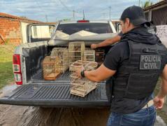 Animais eram mantidos em cativeiros irregulares em duas residências