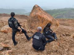 Ações integradas policiais e a implantação dos Coletivos do Bahia Pela Paz garantiram o alcance de criminosos e a apreensão de armas de fogo, proporcionando ainda mais segurança para a população