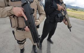 Material foi encontrado escondido em um terreno baldio