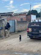 Cinco pessoas foram presas em operação  deflagrada na manhã desta quarta-feira, dia 3, contra organização criminosa responsável por crimes de homicídio e tráfico de drogas no município de Itabela, no extremo sul do estado. 