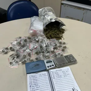 Material apreendido em delegacia