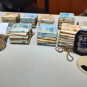 Resultado das apreensões da operação 