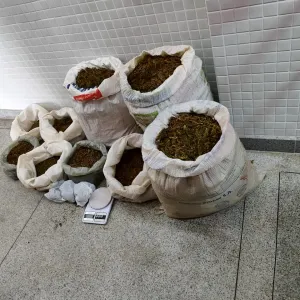 apreensão de drogas 