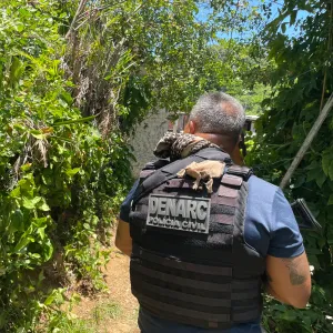 Polícia Civil localiza 10 kg de drogas em casa abandonada no bairro Sussuarana