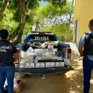 Polícia Civil incinera 175 quilos de drogas em Santo Antônio de Jesus