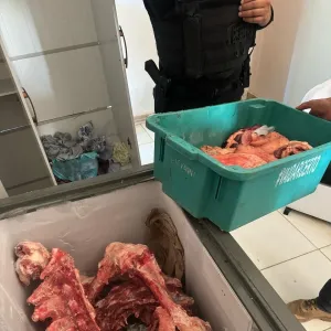 Mulher é presa em flagrante pelos crimes de receptação e contra saúde pública