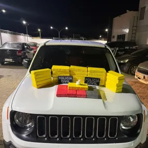 Polícia Civil prende em flagrante homem que transportava 30 quilos de cocaína