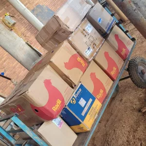 Polícia Civil incinera 500 quilos de drogas em Santa Maria da Vitória