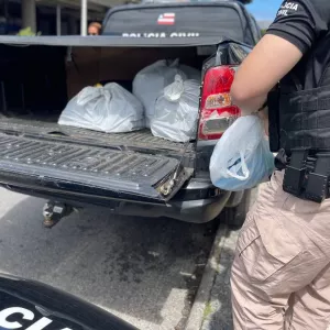 Ação coordenada reuniu 60 policiais para combater crimes como estelionato, propaganda enganosa, lavagem de dinheiro e exercício ilegal da profissão, praticados por empresas de fachada atuantes na capital