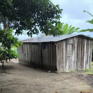 escravidão são resgatados