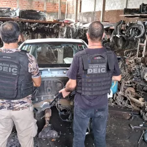 Policiais em desmanche de veículos