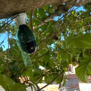 Câmera retirada pela operação