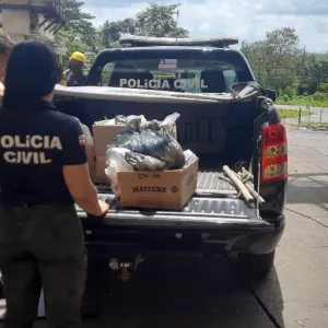 Trinta e um quilos de drogas são incinerados no município de Santo Amaro