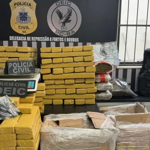 Polícia Civil apreende 212 quilos de maconha em Feira de Santana