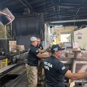 Polícia Civil incinera 400 quilos de entorpecentes em Itapetinga