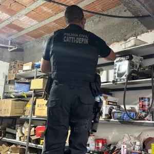 Operação Brachium apreende 13 armas de fogo em Cândido Sales