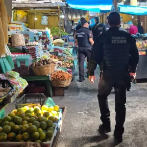 Policia Civil