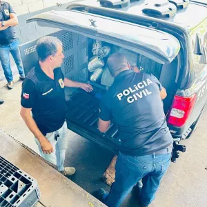Policia Civil
